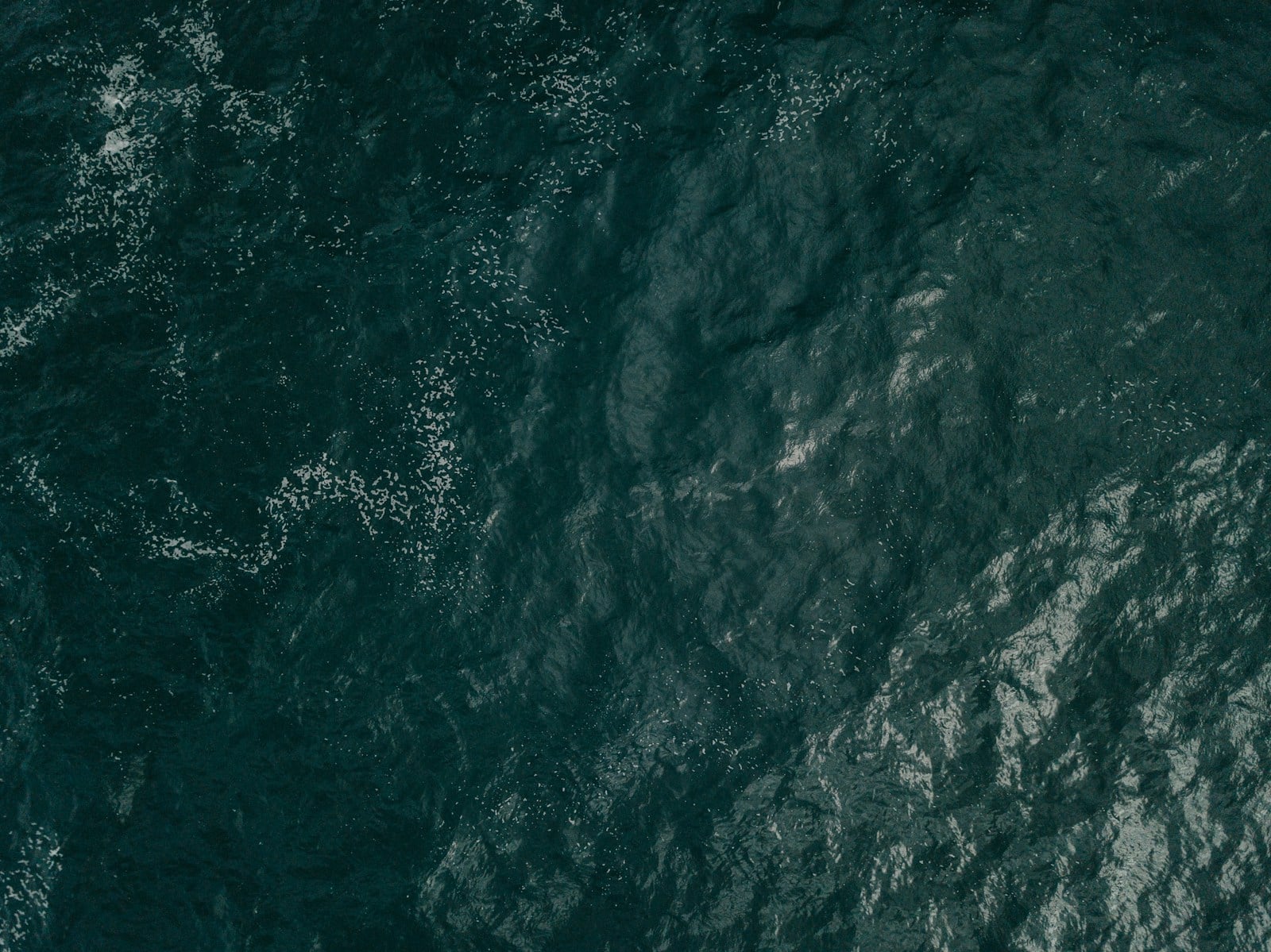 Rising Tides — still 1