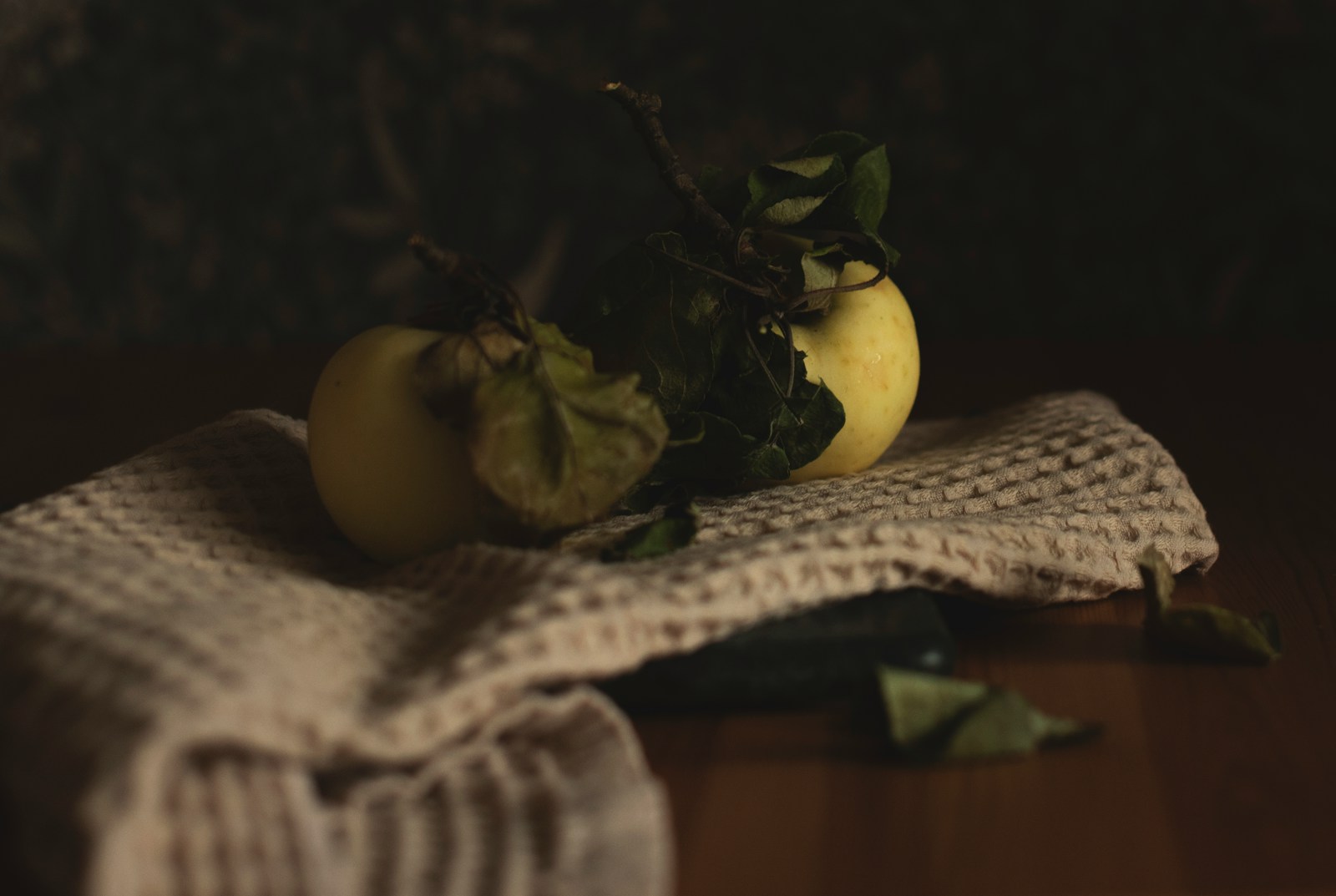 Culinary Journeys — still 3